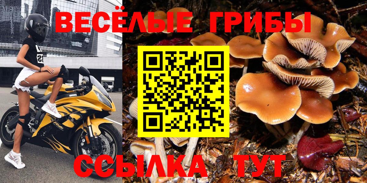 Красный Сулин  Галлюциногенные грибы GOLDEN TEACHER  наркошоп  Псилоцибиновые грибы мицелий  Вход с VPN 